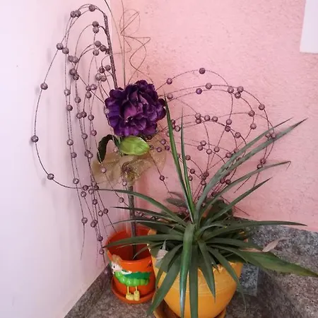 Penzion Izgrev