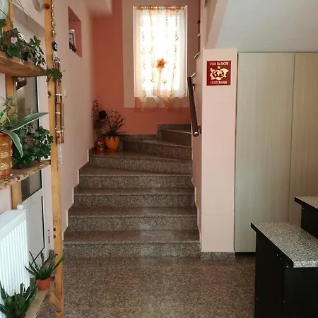 Izgrev Svilengrad