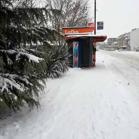Izgrev Penzion *